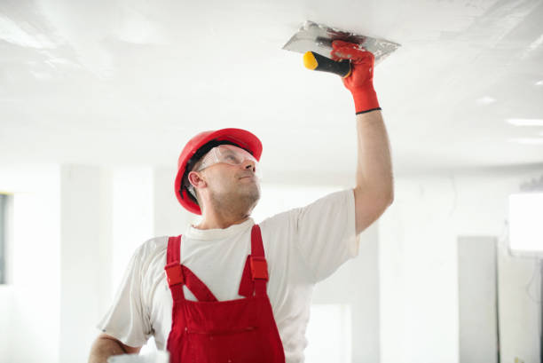 Best Drywall Removal and Disposal  in Mack, OH